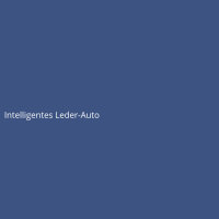 Intelligentes Leder-Auto
