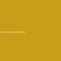 Herrlicher Kupfer-Hut
