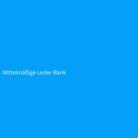 Mittelmäßige Leder-Bank