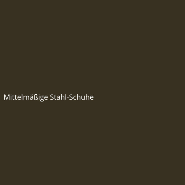Mittelmäßige Stahl-Schuhe