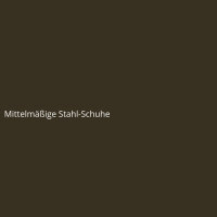 Mittelmäßige Stahl-Schuhe